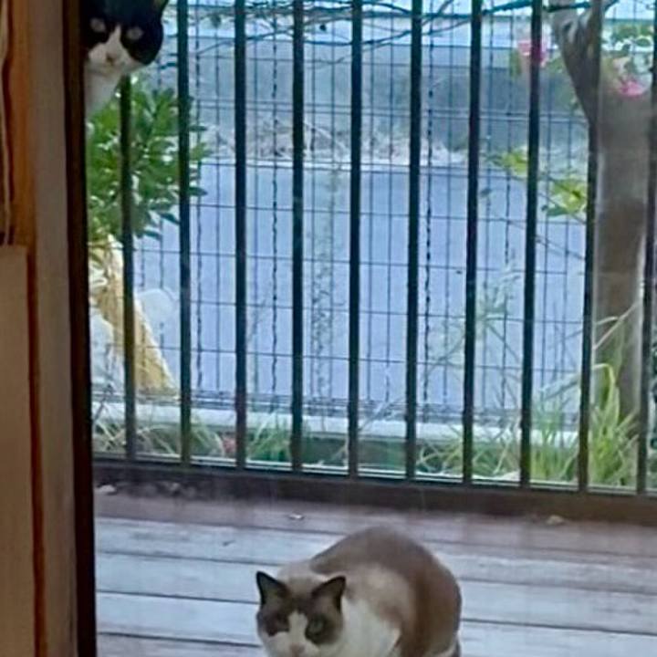 8ee436c5 a478 4b7c 814b 09ff7353de74 1767177631500