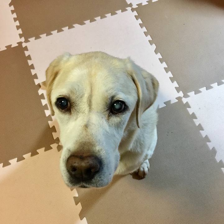 8ee46360 6ed9 4c2b 8740 6a8363a6cb07 1538478750461