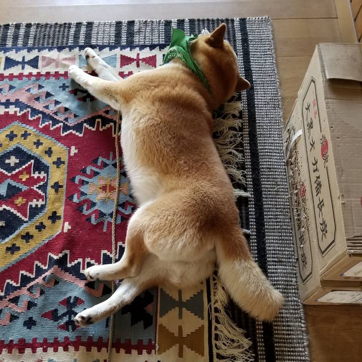 8ee49ca4 46ea 4b79 b2ce 2b7019aa9469 1558912885314