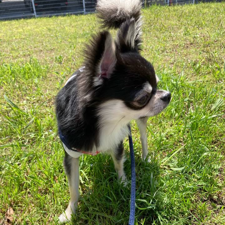 8ee4a29c 39e0 4b17 85ac faab93117a2b 1620103834346