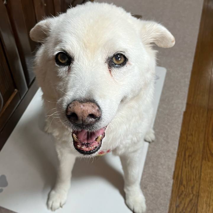 8ee4a6ab e0ec 4949 89b1 0e4cf24e020e 1759880240460