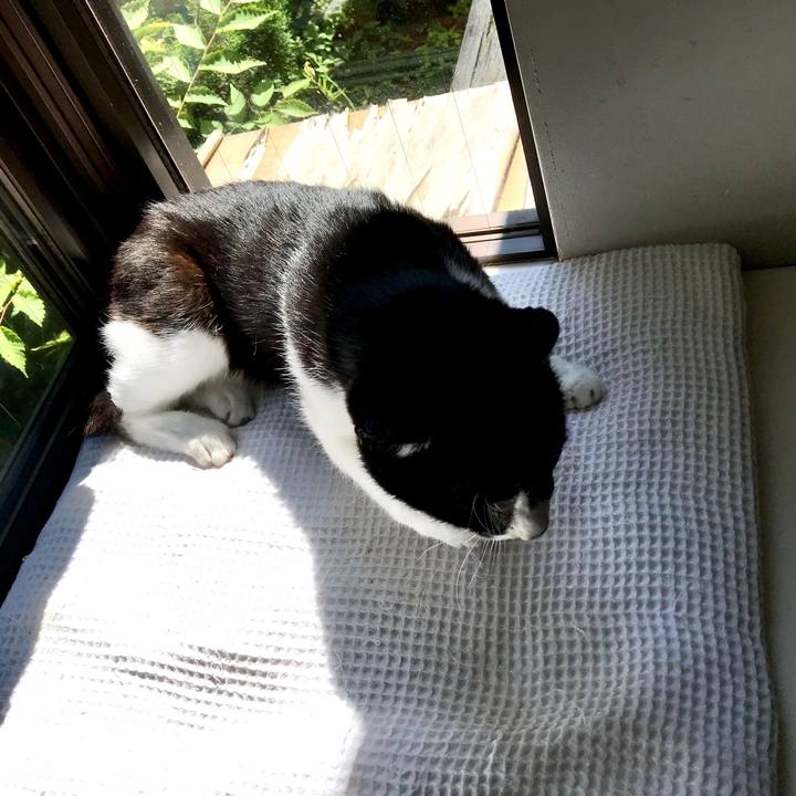 8ee53eff 24cf 4130 98bf 3ec8d300c304 1528344633864