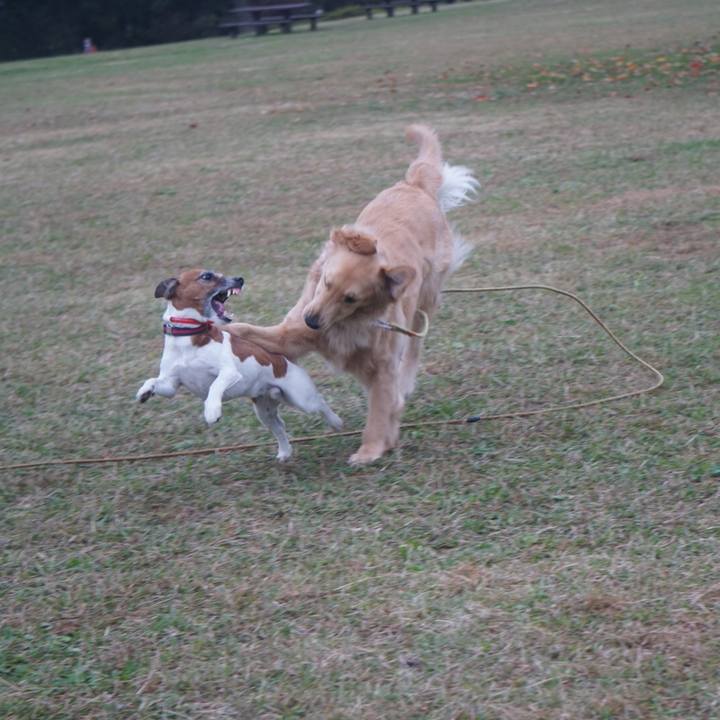 8ee542ac 87ed 4850 be45 30e96ff81e13 1607555031804