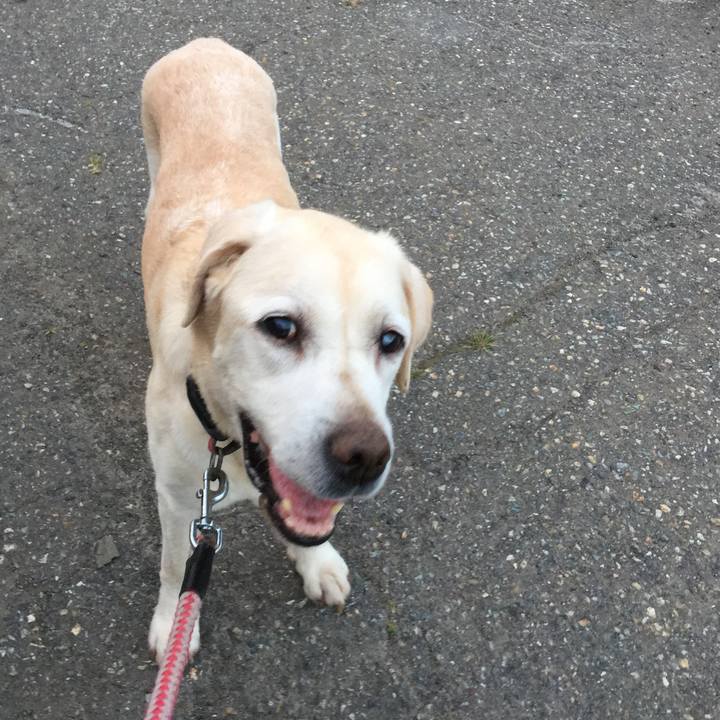 8ee54842 2579 4d5c 8a4d 8b80d55d14cb 1531249427140