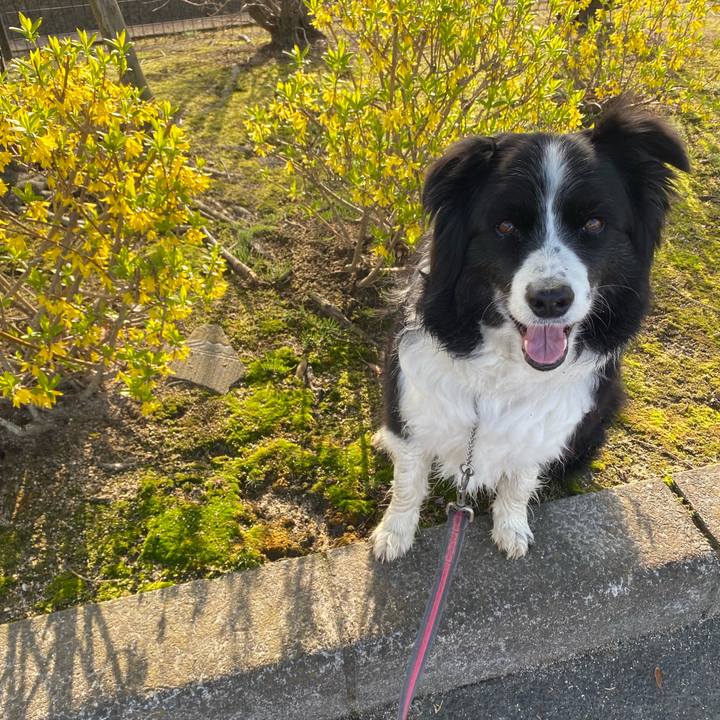 8ee55566 87f7 48e8 8dd1 68bc0b2b031a 1648166195830