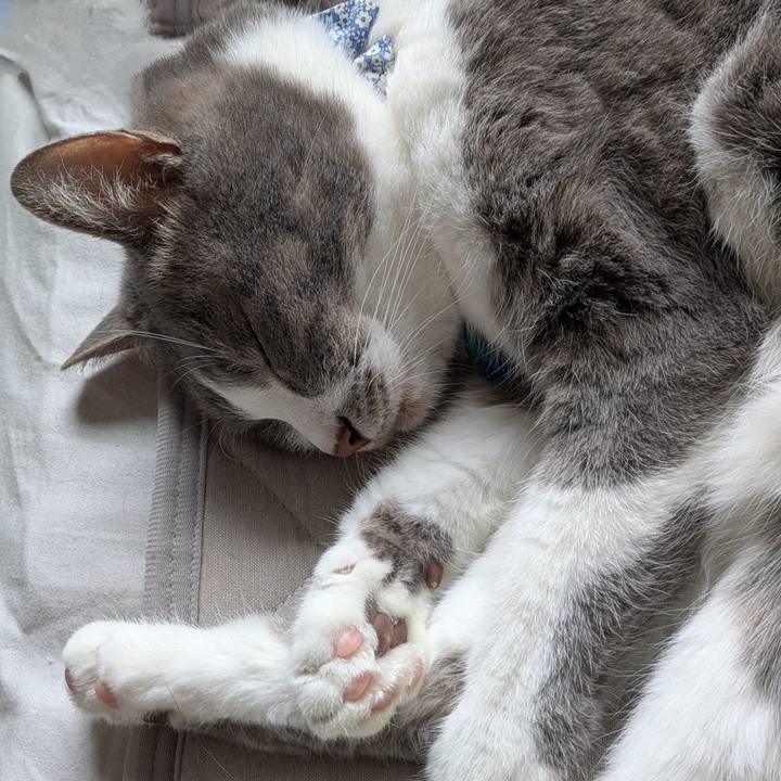 8ee562db 7ce9 43ed a8be 78a5484e29e3 1745456528830