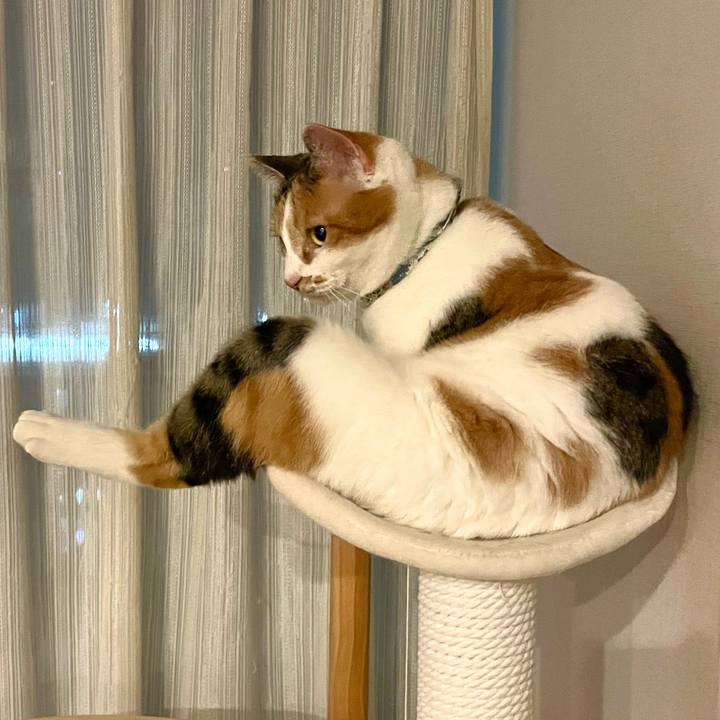 8ee570b0 3e06 4de2 8e0c 1887bc81b139 1703846558620