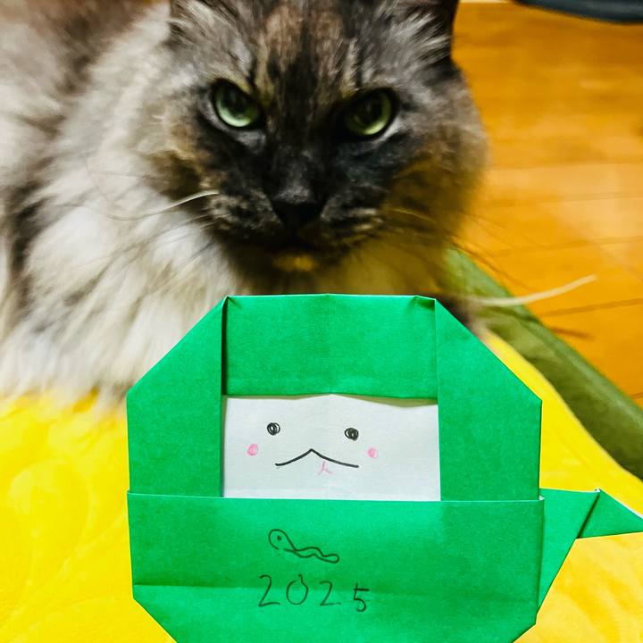 8ee5ca8e 0046 4bbc a928 1106faa324eb 1736167909741