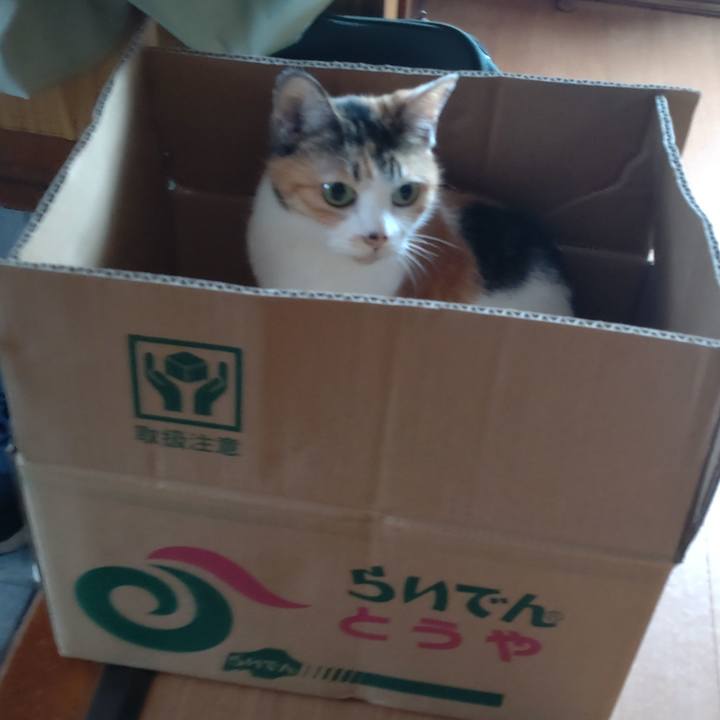 8ee626dc 1fdb 4e34 95c6 a77a5c00db1b 1695117637166