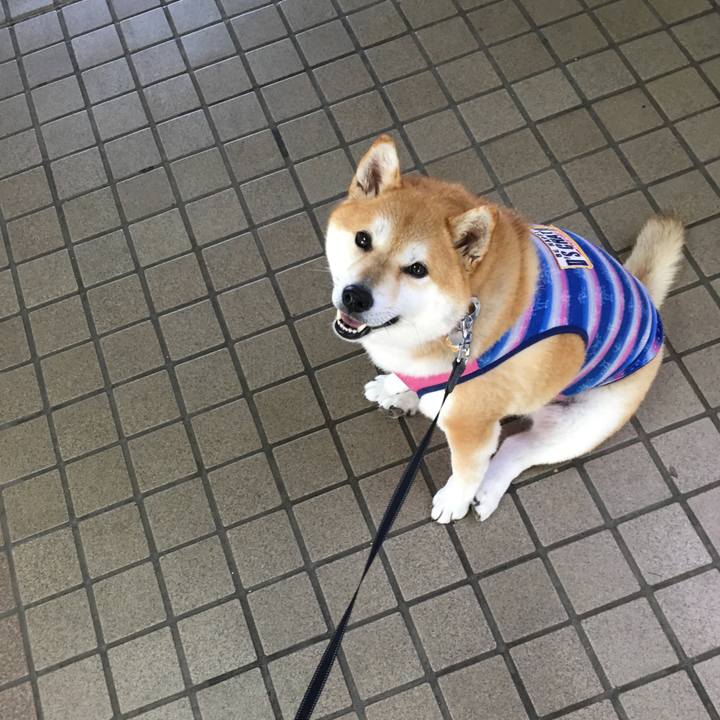 8ee630a3 ea69 4ecb 8f87 6de6e784f035 1568851294449