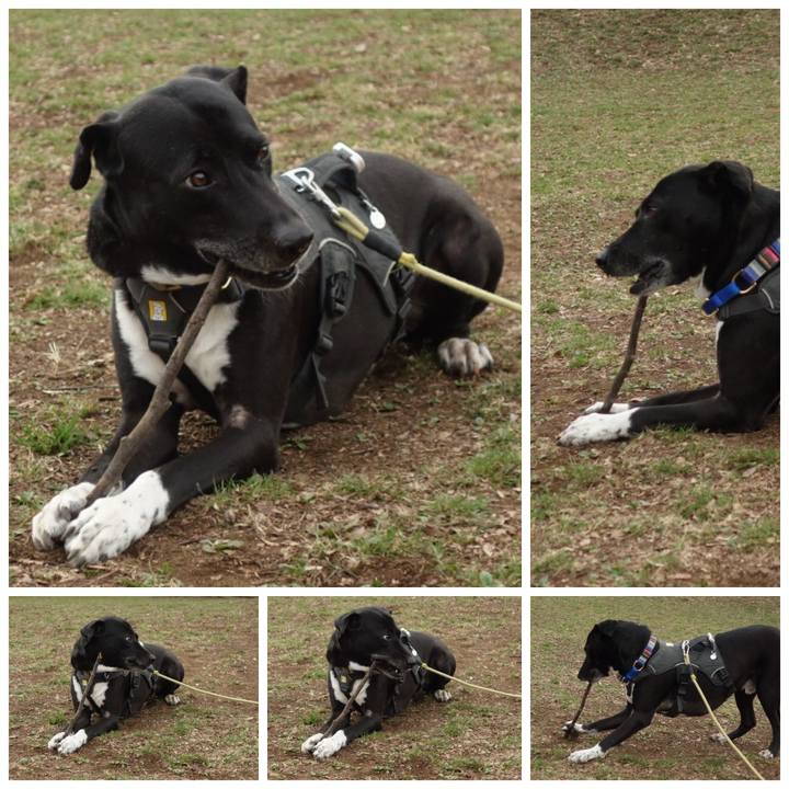 8ee6697d 017c 42d5 8626 30ead1e7f060 1647132503808