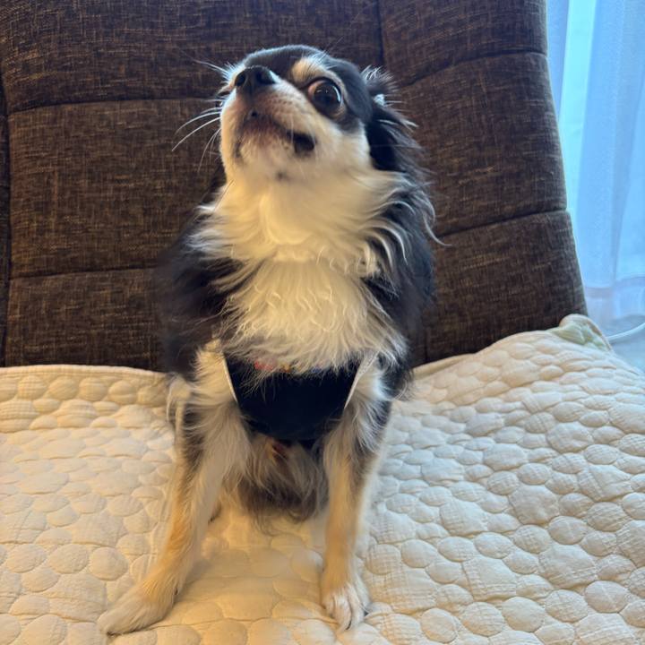 8ee672a5 d398 47e3 be54 c72c05f2fce1 1748191365151