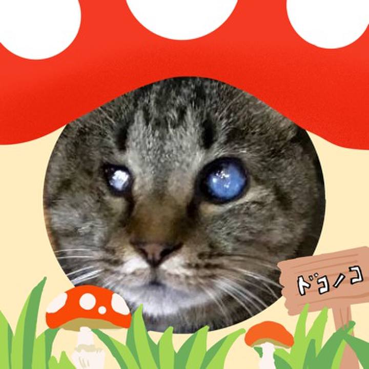 8ee6c0cc 0090 4eb2 8c65 f702cc35ff93 1729074458807