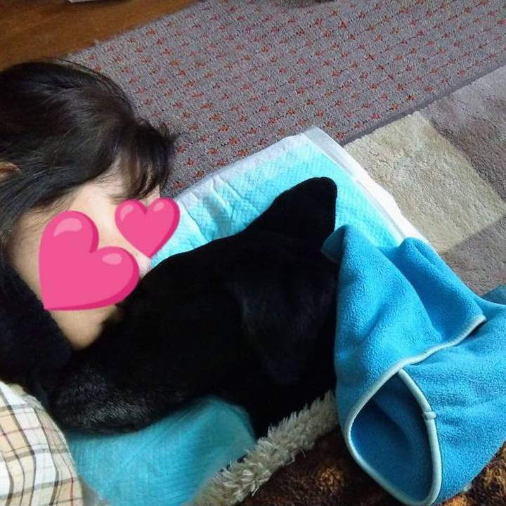 8ee6e431 33ae 400e a30a 1fbc2f5d7d71 1735996525740