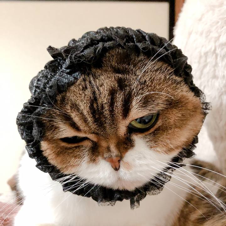 8ee6f10b 428f 4984 9f5e d86498c7e7a2 1579087833820