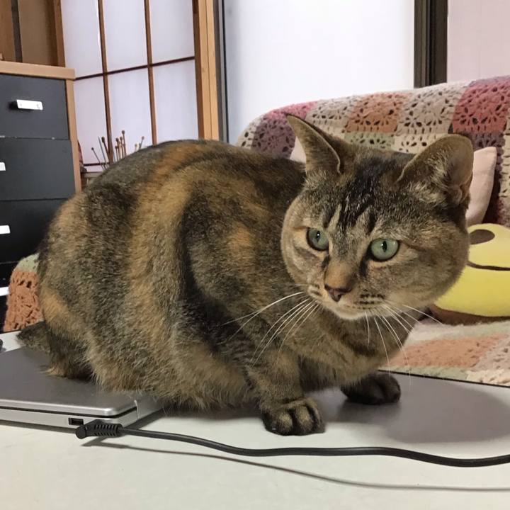 8ee6f242 54d0 4d6f b1b2 99ff511c3017 1747297868325