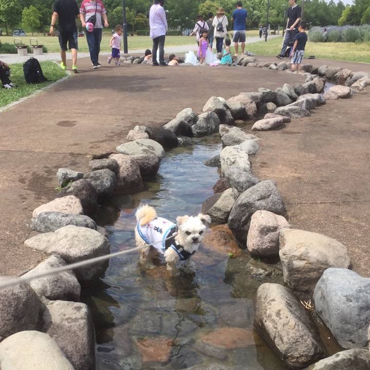 8ee6fdea 38b9 48bf a195 2e1bf75db517 1558443061114