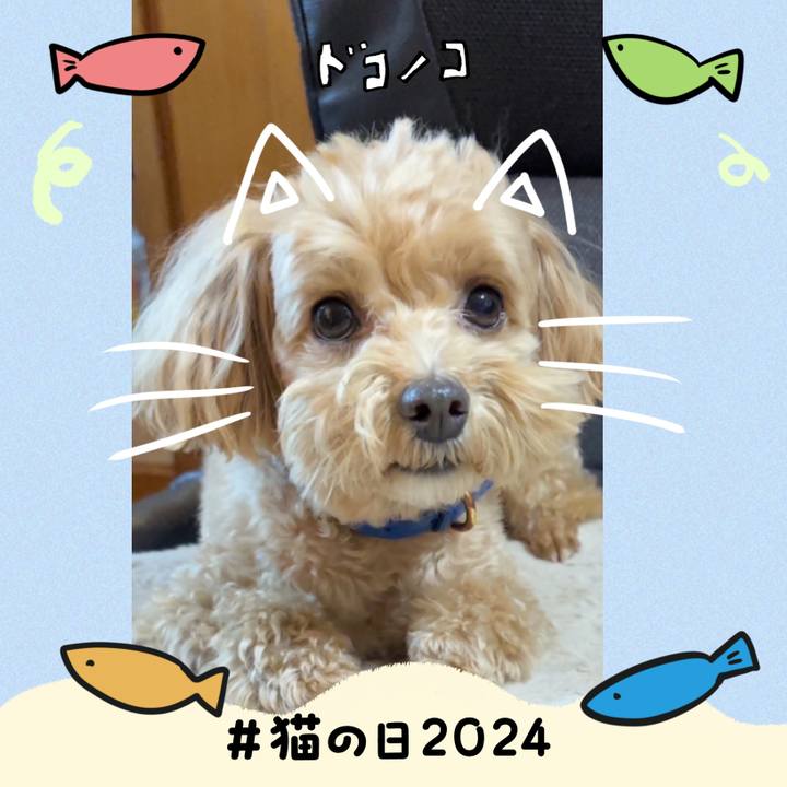 8ee70cd5 5ffe 406b af86 3f8d22f6243b 1708601378931