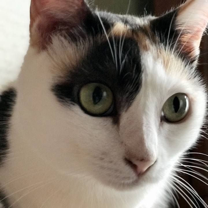 8ee762d6 6c19 43c1 8127 8e2244f83c80 1537584550680