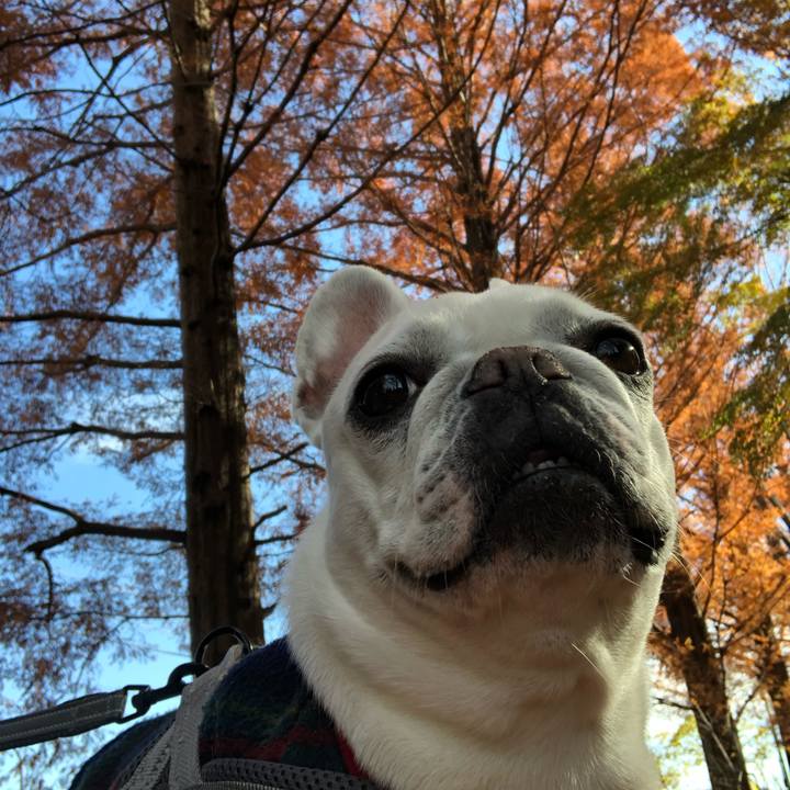 8ee7a429 3bf3 40b0 92e5 2ed4e302bd13 1638669694025