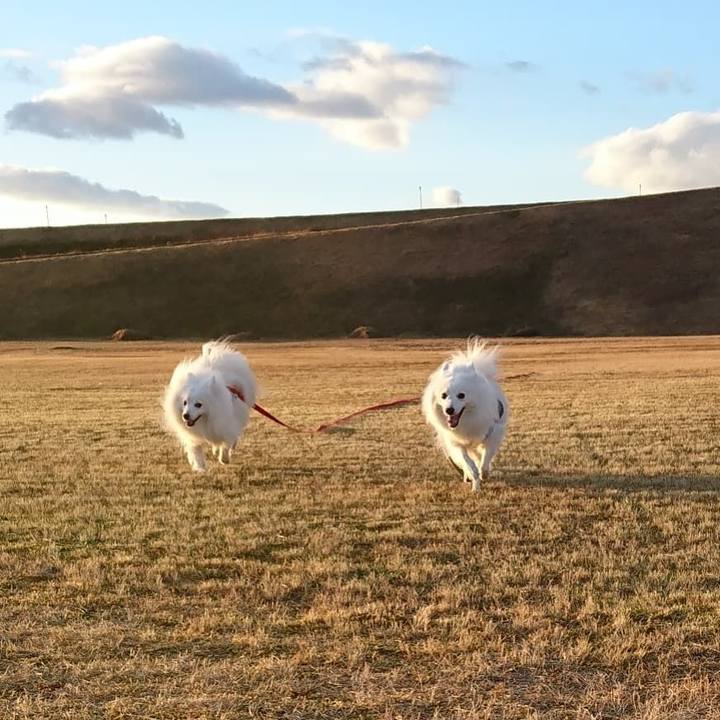 8ee7ae5d c042 477a 9820 1e3f24587b66 1610181483591