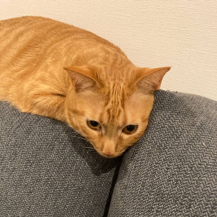 8ee7f7b2 4f2e 471a be23 dfcc375fc7c9 1614771016558