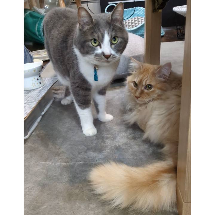 8ee80d30 8e21 4c4a 99c0 ed46bd149559 1748337456509