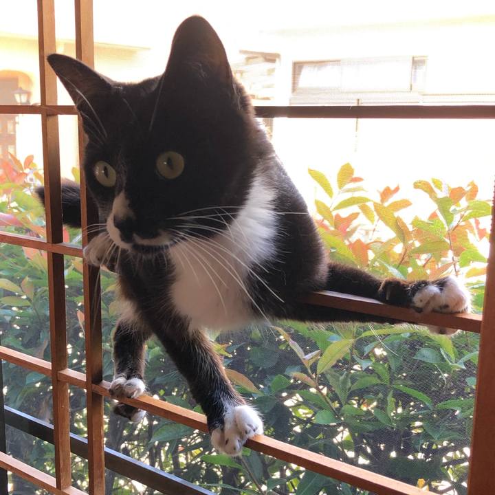 8ee844b1 0c17 4135 a6d3 fdbb9e12c4be 1597039573848