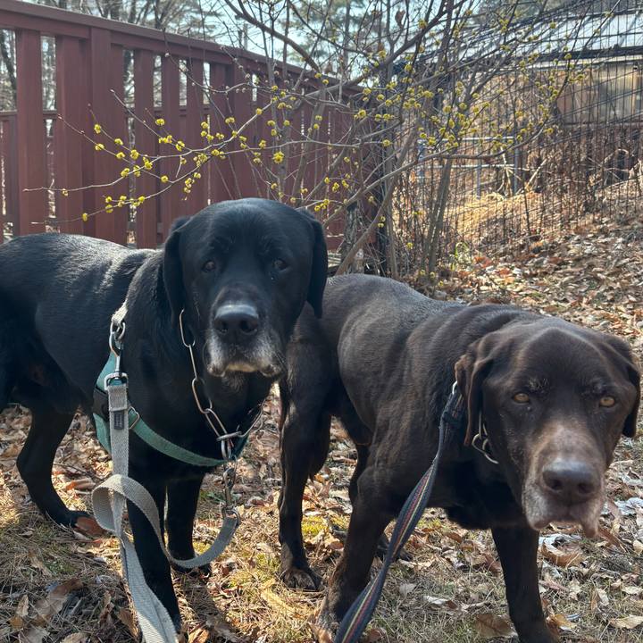 8ee86270 fcd2 454b a5de 09e8c3819155 1774176998032