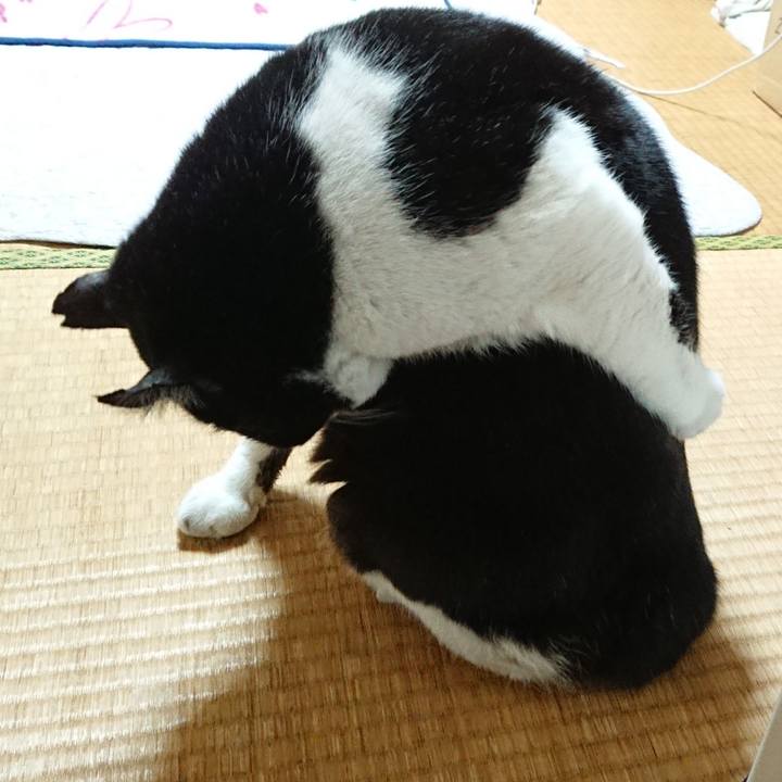 8ee8642b 80a9 408c ae90 96bd21dac7b1 1641216018328