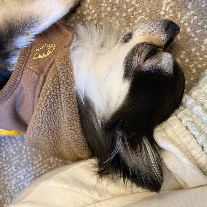 8ee891b6 a146 48b0 be85 d73e50164f4e 1706957285220