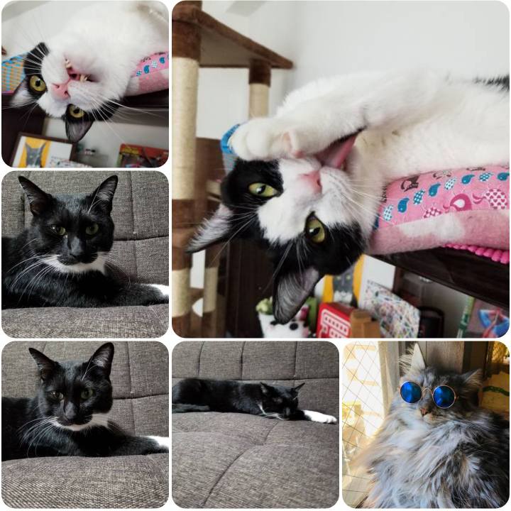 8ee8ccfe fcd7 42d5 a75c 822c6ffbef4a 1557911052376