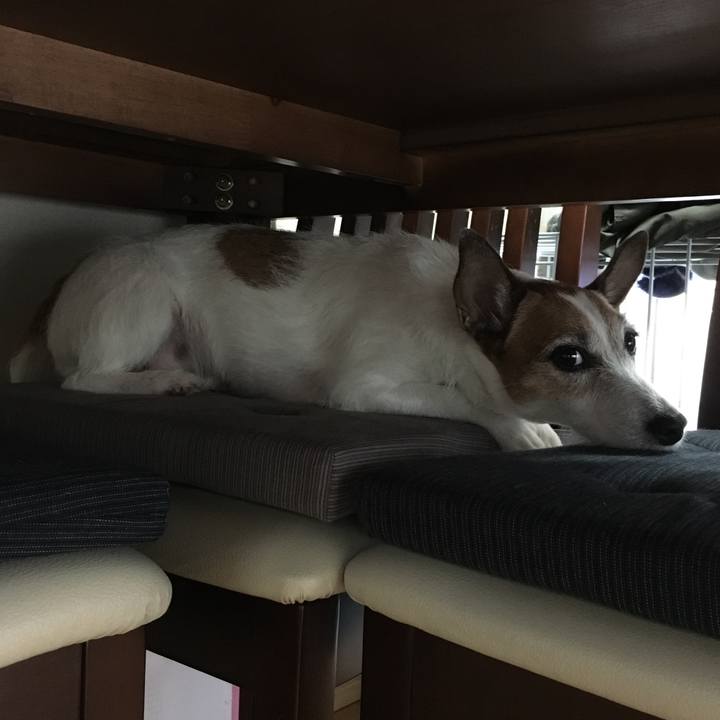 8ee8ee13 ea50 4a8c 946b 70304b582072 1628033036492