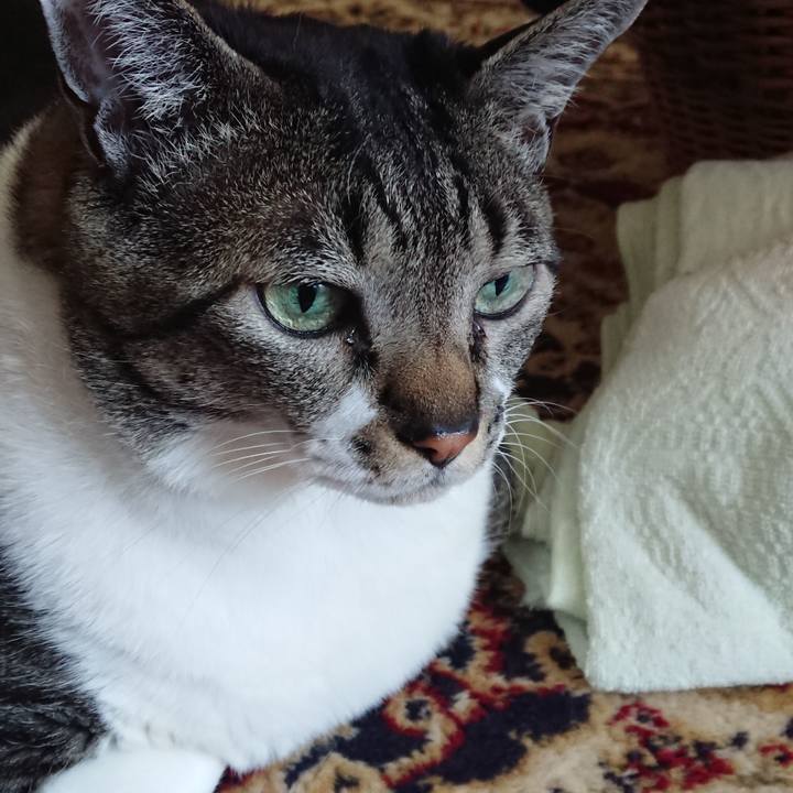 8ee91838 6536 4d47 87cc 4f2c21c92419 1585442079980