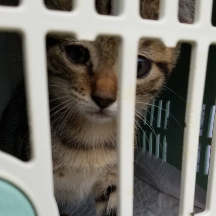 8ee92263 e763 41e9 9315 9bd0d1701612 1691810208261