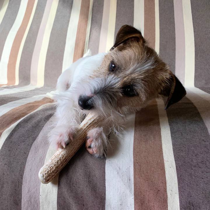 8ee926c4 cee0 4d63 96fd 48ce4d2ab84b 1580774872489