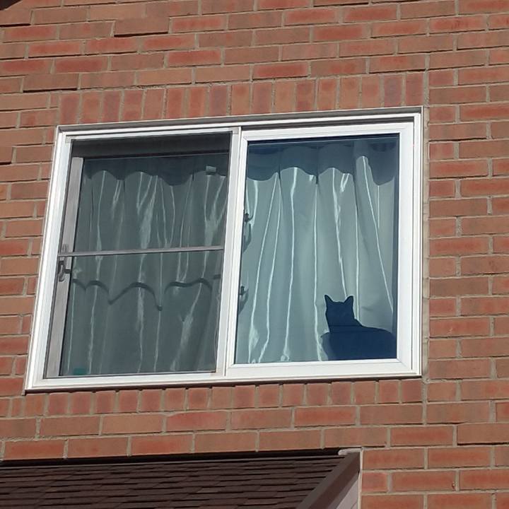 8ee95328 14bb 455c 8466 377c8a0c3056 1554334218336