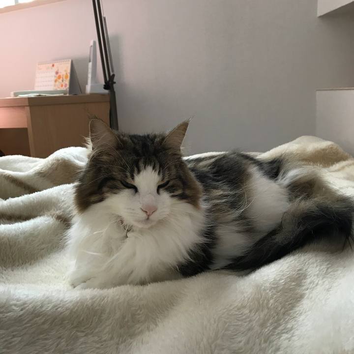 8ee99215 bd72 44b2 acf8 91eba799677a 1524634225811