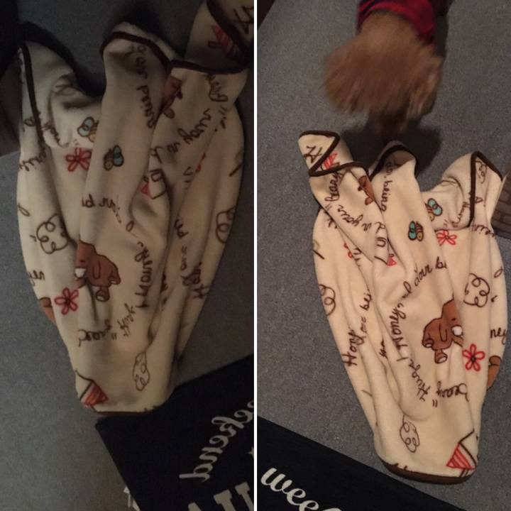 8ee9afde 43b0 496f abf8 41731f0cab55 1550409181880