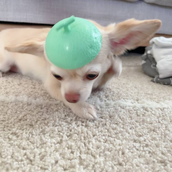 8ee9b6ca 09aa 49a4 a817 7ea022a549c9 1723354974650