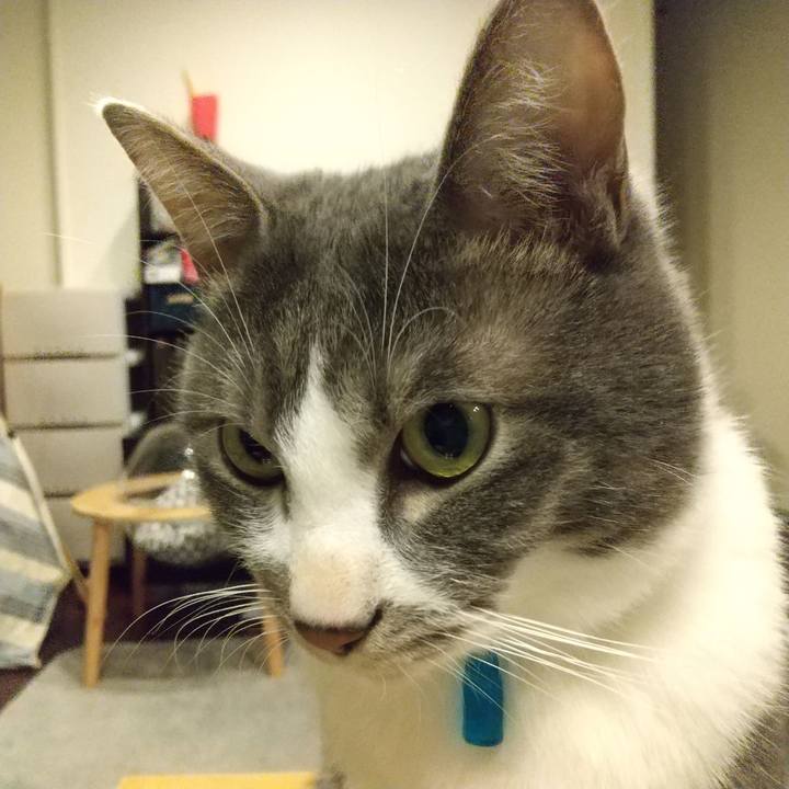 8ee9f63e 9879 4b8f ac28 22074cc6a6f5 1609073056735