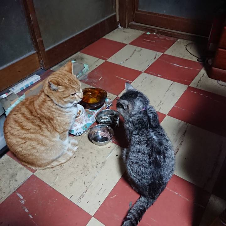 8eea4950 e79b 4ec9 84c7 59b02cfb3238 1580155180232