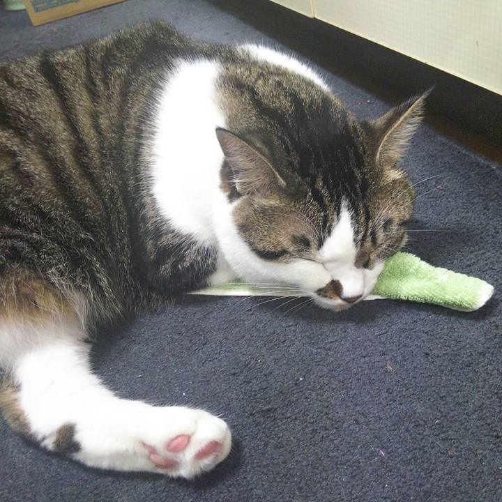 8eea499d 5675 438c 82a9 80825751dc38 1664451135246