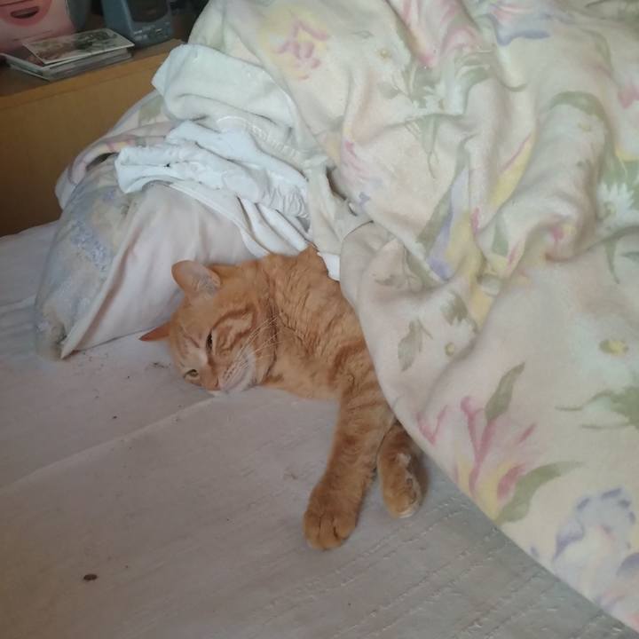 8eea7f47 2800 4d54 970d 06d004d82ee6 1712525275574