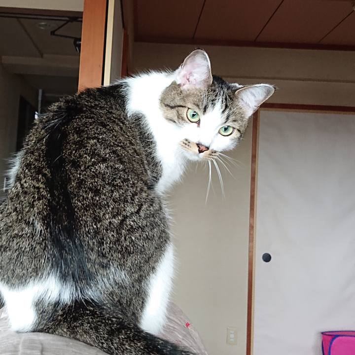 8eea8abd 078b 4914 adaa 5eb8617c5136 1595928527125