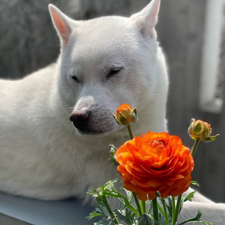 8eea8b5b 286a 4caf be62 554046573384 1710237832960