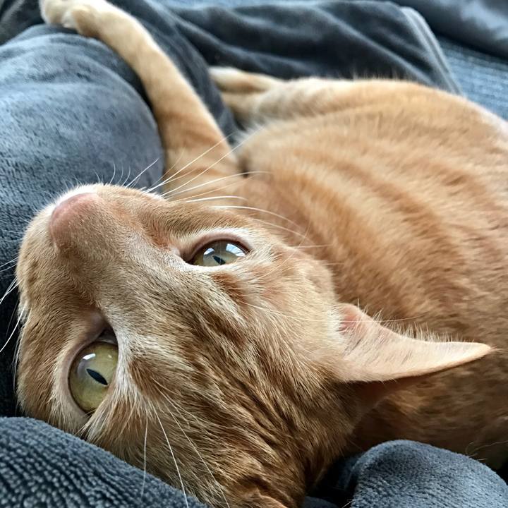 8eeaa2c1 5774 4a7f 9c15 5ccc871d25c5 1616576801074