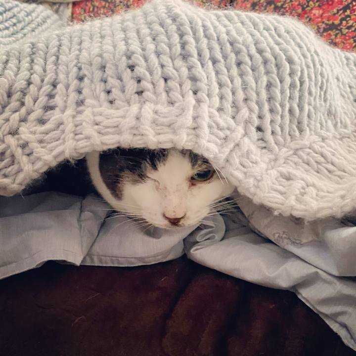 8eeab077 d9f3 469c a3c2 5bf8177f5869 1611810724421