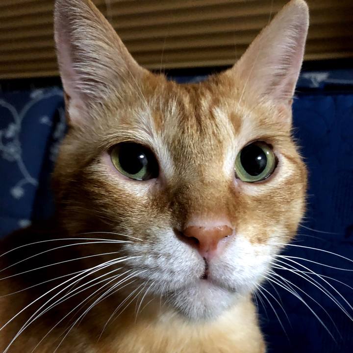 8eeab1f8 bb55 4032 8a55 a7e055b474f1 1599063741404