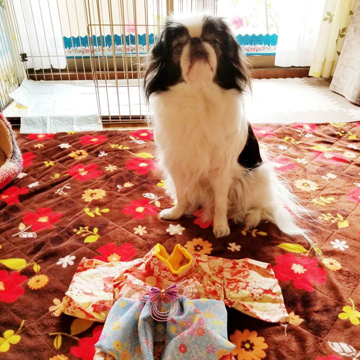 8eeac2ee 5818 43f0 b0cc d87da70b378b 1514685191513